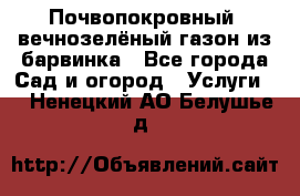 Почвопокровный, вечнозелёный газон из барвинка - Все города Сад и огород » Услуги   . Ненецкий АО,Белушье д.